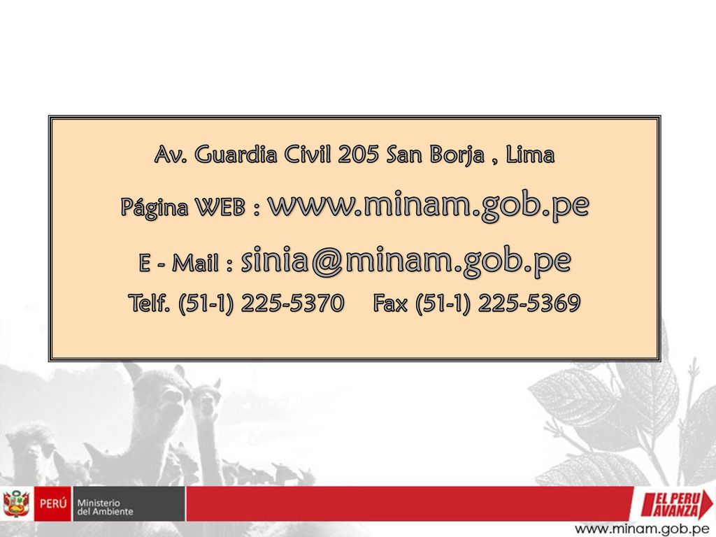 Av. Guardia Civil 205 San Borja , Lima E - Mail :