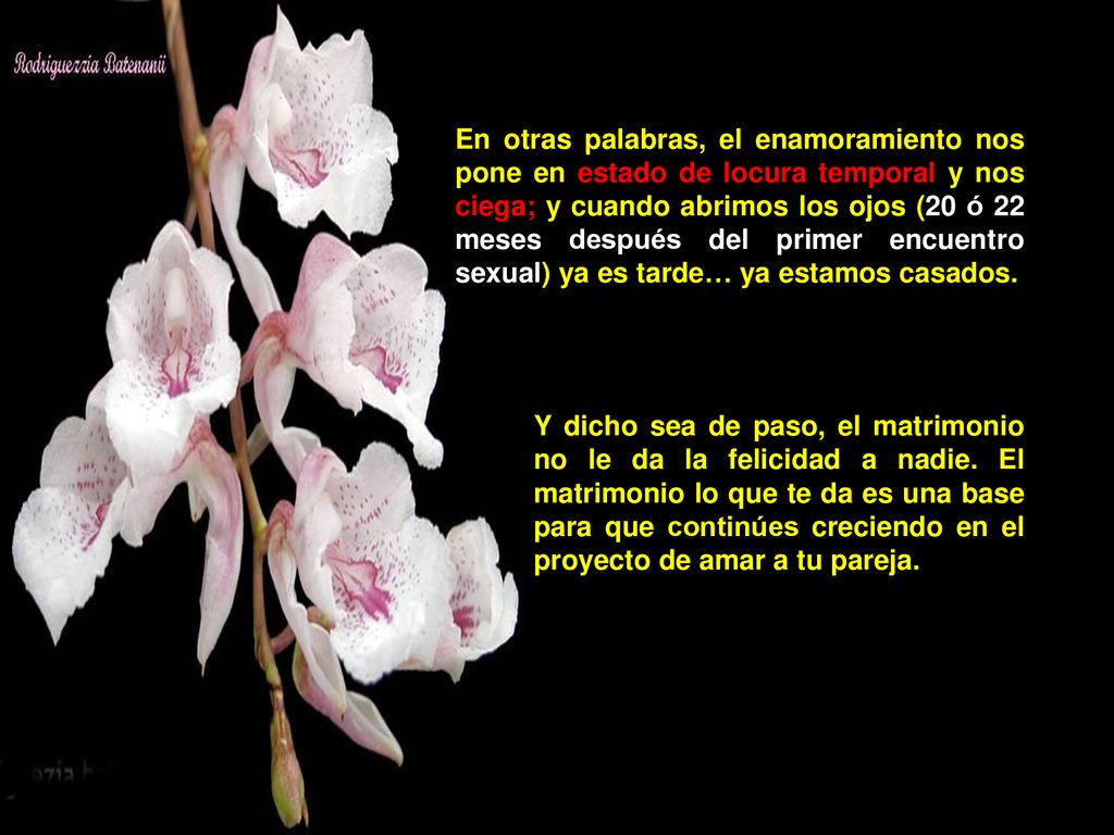 En otras palabras, el enamoramiento nos pone en estado de locura temporal y nos ciega; y cuando abrimos los ojos (20 ó 22 meses después del primer encuentro sexual) ya es tarde… ya estamos casados.