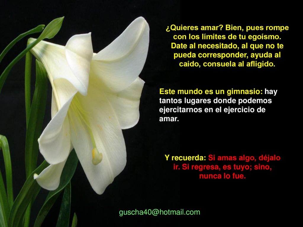 ¿Quieres amar. Bien, pues rompe con los límites de tu egoísmo