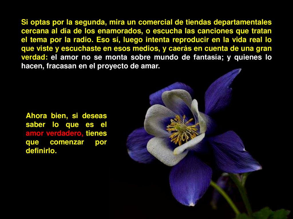 Si optas por la segunda, mira un comercial de tiendas departamentales cercana al día de los enamorados, o escucha las canciones que tratan el tema por la radio. Eso sí, luego intenta reproducir en la vida real lo que viste y escuchaste en esos medios, y caerás en cuenta de una gran verdad: el amor no se monta sobre mundo de fantasía; y quienes lo hacen, fracasan en el proyecto de amar.