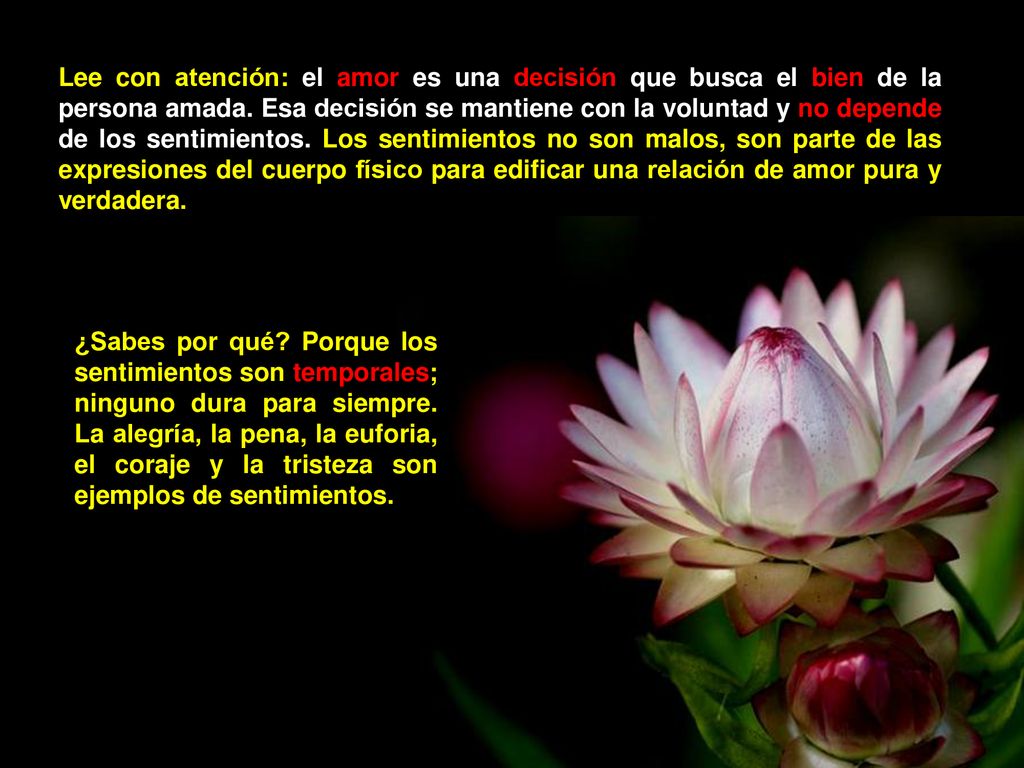 Lee con atención: el amor es una decisión que busca el bien de la persona amada. Esa decisión se mantiene con la voluntad y no depende de los sentimientos. Los sentimientos no son malos, son parte de las expresiones del cuerpo físico para edificar una relación de amor pura y verdadera.