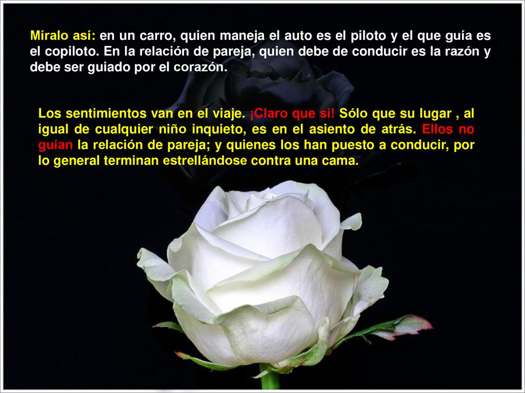 Míralo así: en un carro, quien maneja el auto es el piloto y el que guía es el copiloto. En la relación de pareja, quien debe de conducir es la razón y debe ser guiado por el corazón.