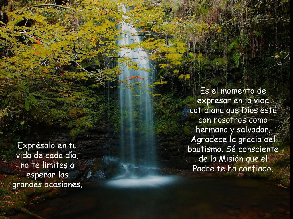Es el momento de expresar en la vida cotidiana que Dios está con nosotros como hermano y salvador. Agradece la gracia del bautismo. Sé consciente de la Misión que el Padre te ha confiado.