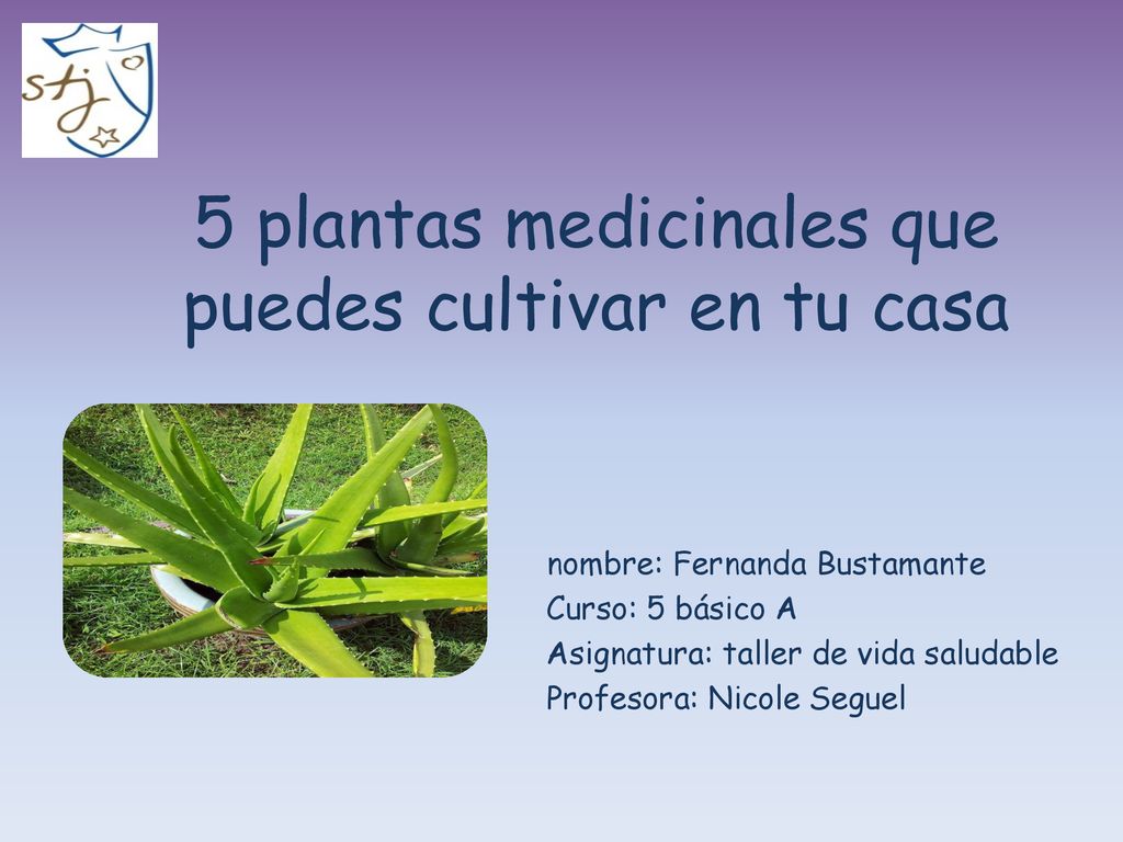 5 Plantas Medicinales Que Puedes Cultivar En Tu Casa Ppt Descargar