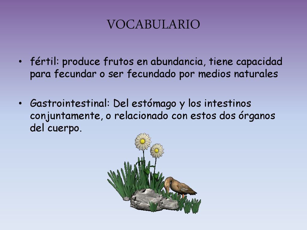 VOCABULARIO fértil: produce frutos en abundancia, tiene capacidad para fecundar o ser fecundado por medios naturales.