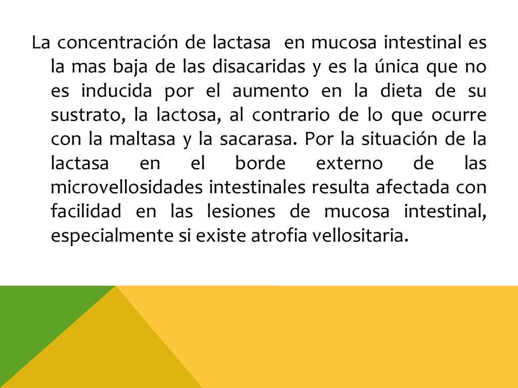 La concentración de lactasa en mucosa intestinal es la mas baja de las disacaridas y es la única que no es inducida por el aumento en la dieta de su sustrato, la lactosa, al contrario de lo que ocurre con la maltasa y la sacarasa.