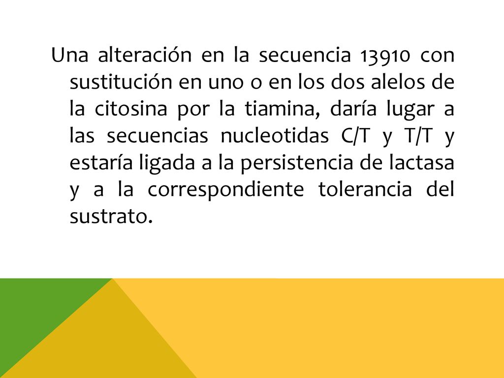 Una alteración en la secuencia con sustitución en uno o en los dos alelos de la citosina por la tiamina, daría lugar a las secuencias nucleotidas C/T y T/T y estaría ligada a la persistencia de lactasa y a la correspondiente tolerancia del sustrato.