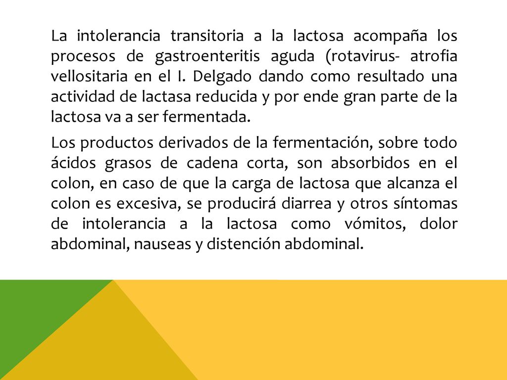 La intolerancia transitoria a la lactosa acompaña los procesos de gastroenteritis aguda (rotavirus- atrofia vellositaria en el I.