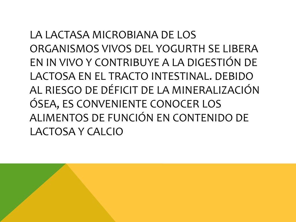 La lactasa microbiana de los organismos vivos del yogurth se libera en in vivo y contribuye a la digestión de lactosa en el tracto intestinal.