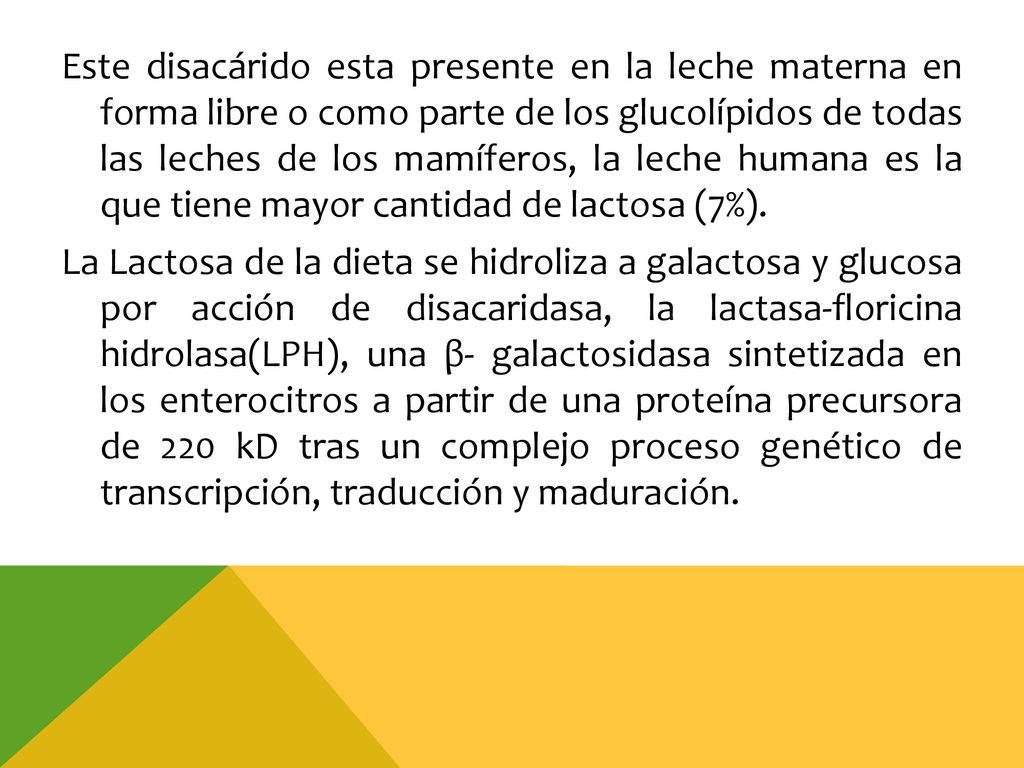 Este disacárido esta presente en la leche materna en forma libre o como parte de los glucolípidos de todas las leches de los mamíferos, la leche humana es la que tiene mayor cantidad de lactosa (7%).