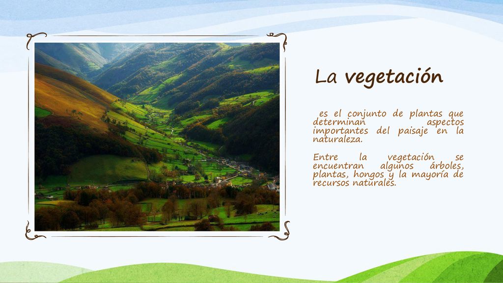 La vegetación es el conjunto de plantas que determinan aspectos importantes del paisaje en la naturaleza.