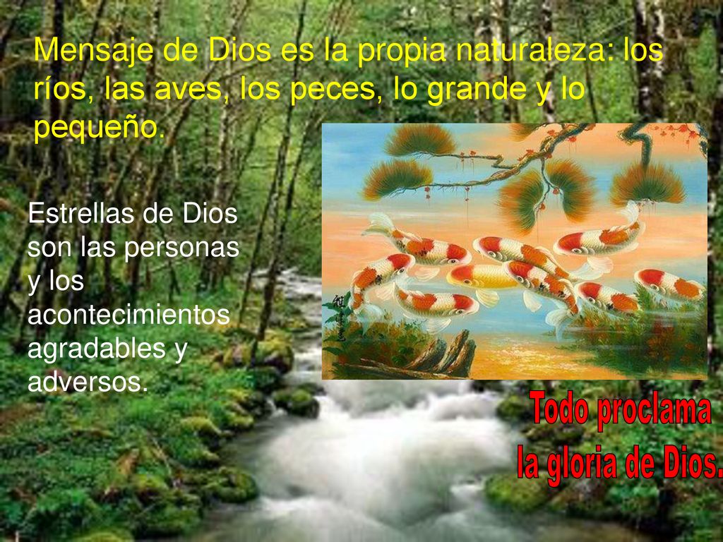 Mensaje de Dios es la propia naturaleza: los ríos, las aves, los peces, lo grande y lo pequeño.