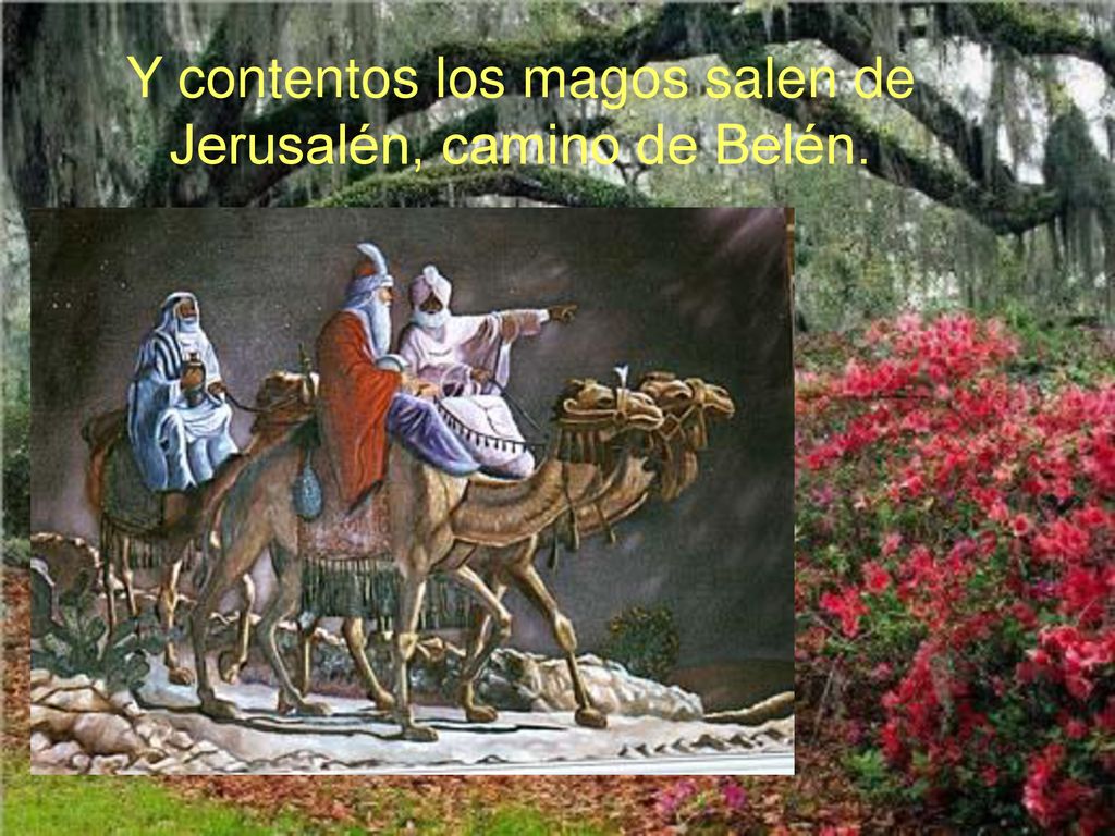 Y contentos los magos salen de Jerusalén, camino de Belén.