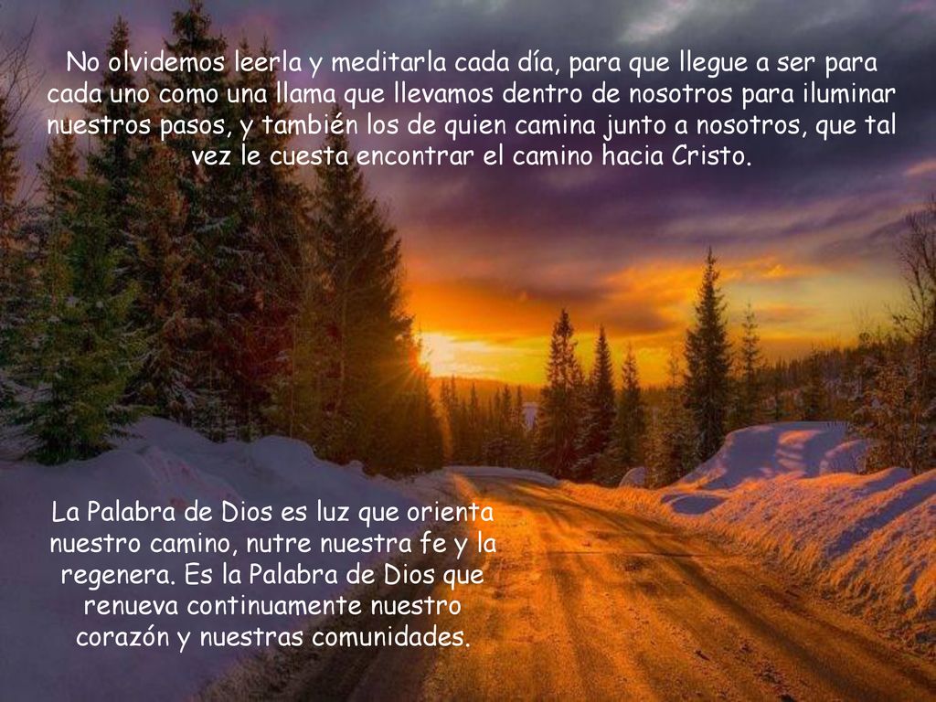 No olvidemos leerla y meditarla cada día, para que llegue a ser para cada uno como una llama que llevamos dentro de nosotros para iluminar nuestros pasos, y también los de quien camina junto a nosotros, que tal vez le cuesta encontrar el camino hacia Cristo.