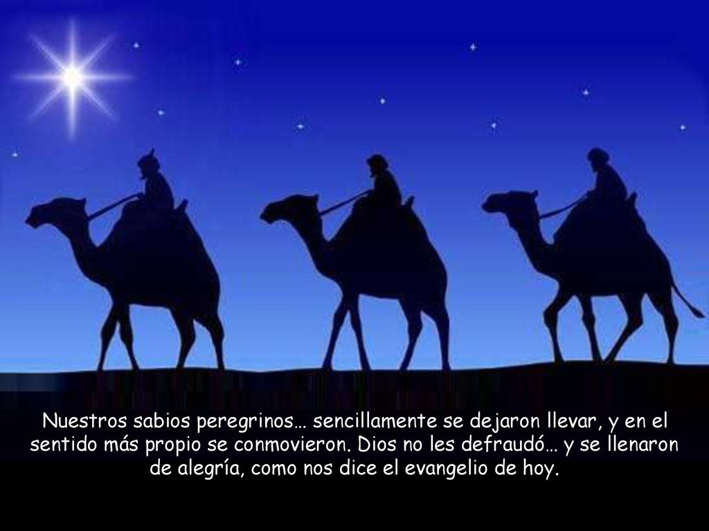 Nuestros sabios peregrinos… sencillamente se dejaron llevar, y en el sentido más propio se conmovieron.