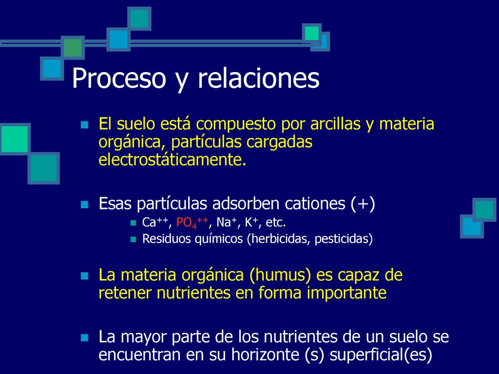 Proceso y relaciones El suelo está compuesto por arcillas y materia orgánica, partículas cargadas electrostáticamente.