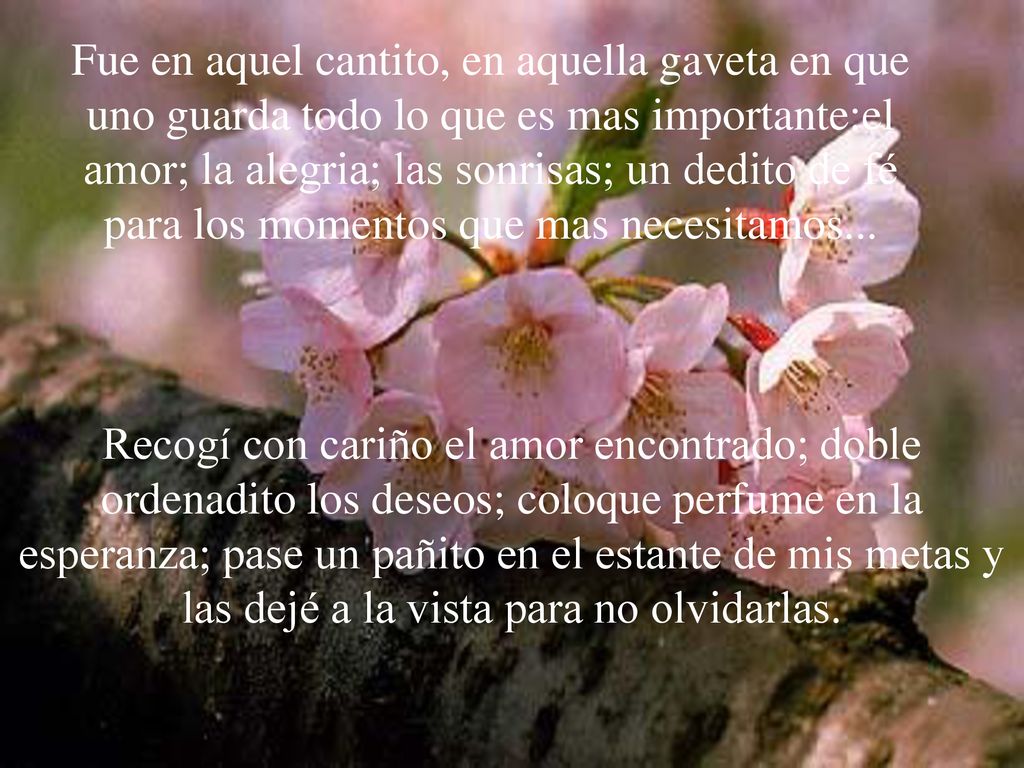 Fue en aquel cantito, en aquella gaveta en que uno guarda todo lo que es mas importante:el amor; la alegria; las sonrisas; un dedito de fé para los momentos que mas necesitamos...