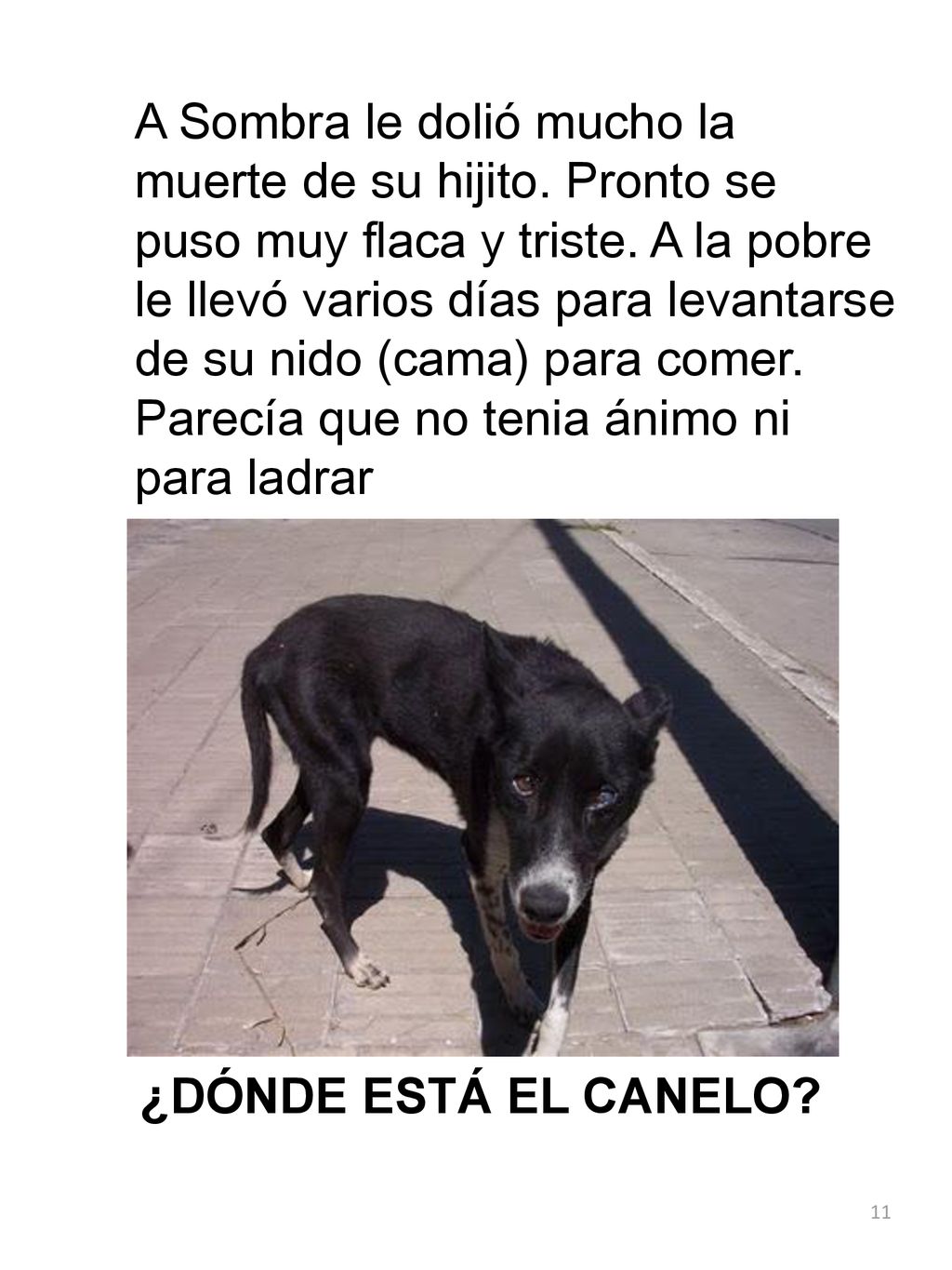 A Sombra le dolió mucho la muerte de su hijito