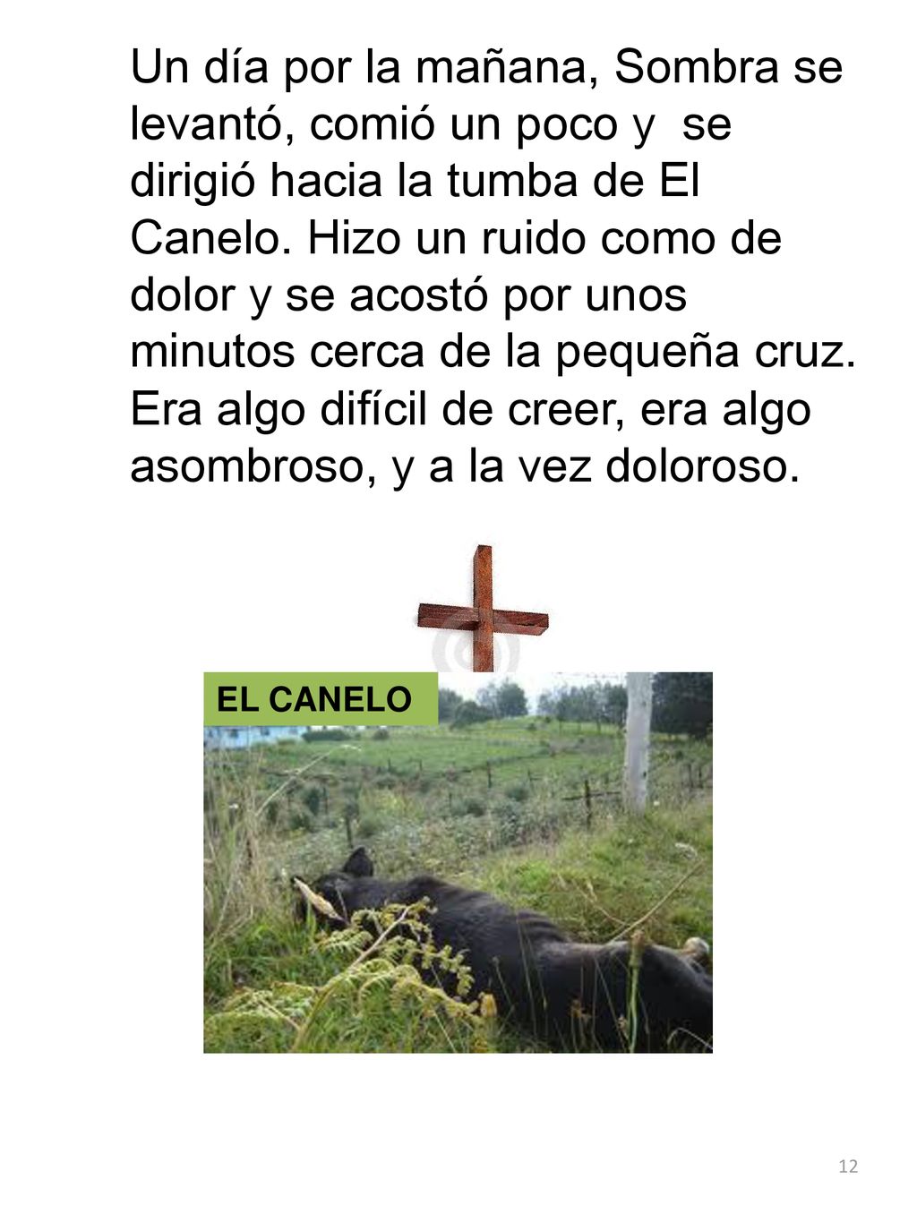 Un día por la mañana, Sombra se levantó, comió un poco y se dirigió hacia la tumba de El Canelo. Hizo un ruido como de dolor y se acostó por unos minutos cerca de la pequeña cruz. Era algo difícil de creer, era algo asombroso, y a la vez doloroso.