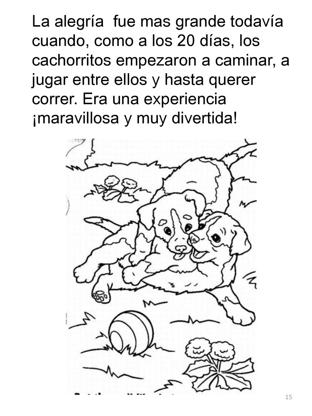 La alegría fue mas grande todavía cuando, como a los 20 días, los cachorritos empezaron a caminar, a jugar entre ellos y hasta querer correr.
