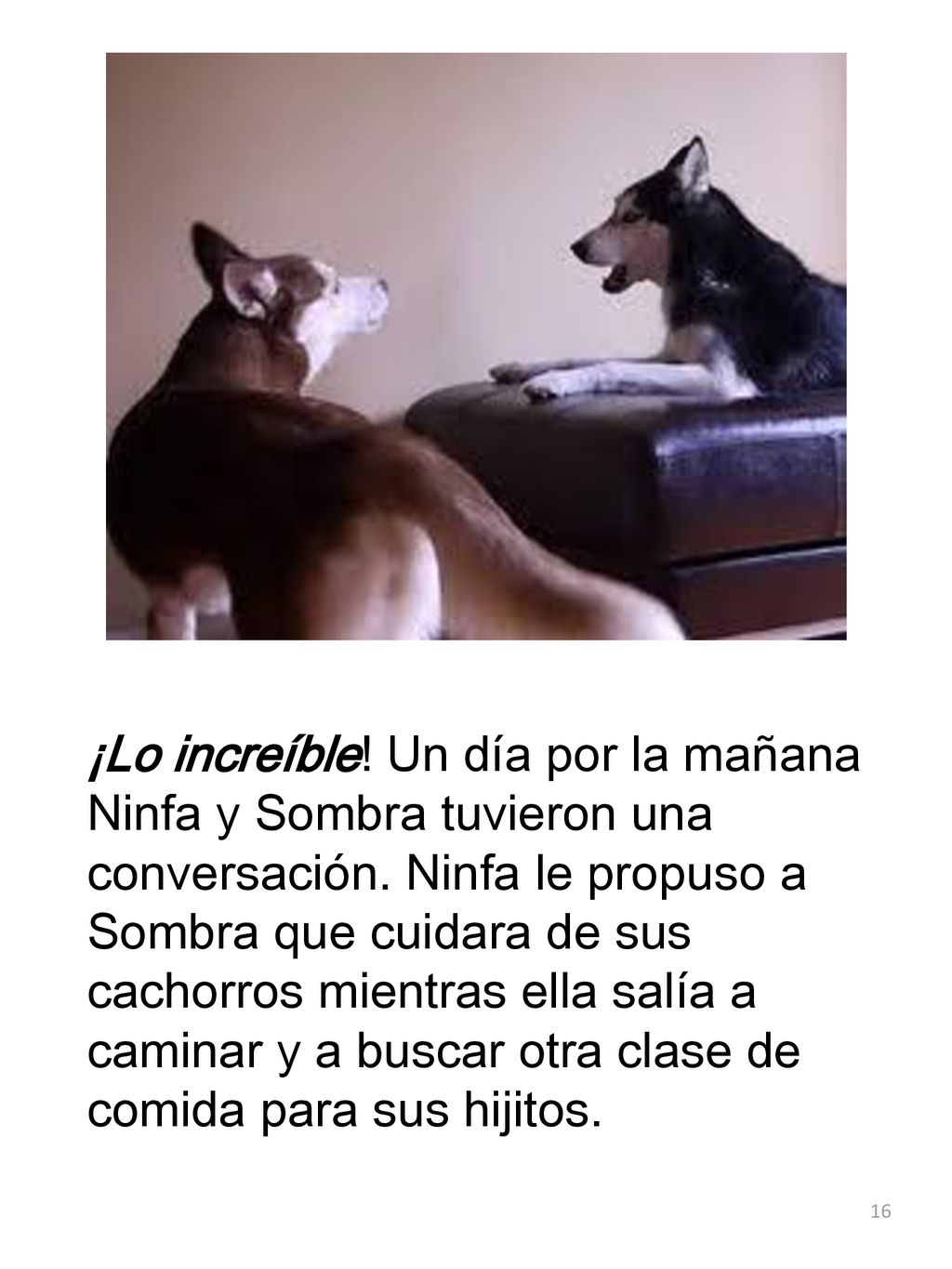 ¡Lo increíble. Un día por la mañana Ninfa y Sombra tuvieron una conversación.