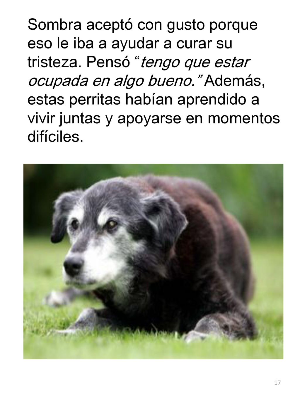 Sombra aceptó con gusto porque eso le iba a ayudar a curar su tristeza