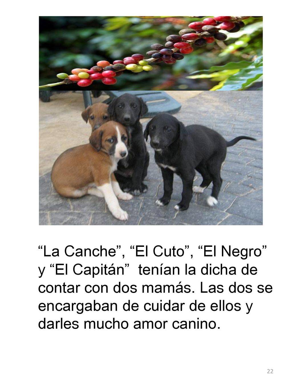 La Canche , El Cuto , El Negro y El Capitán tenían la dicha de contar con dos mamás.