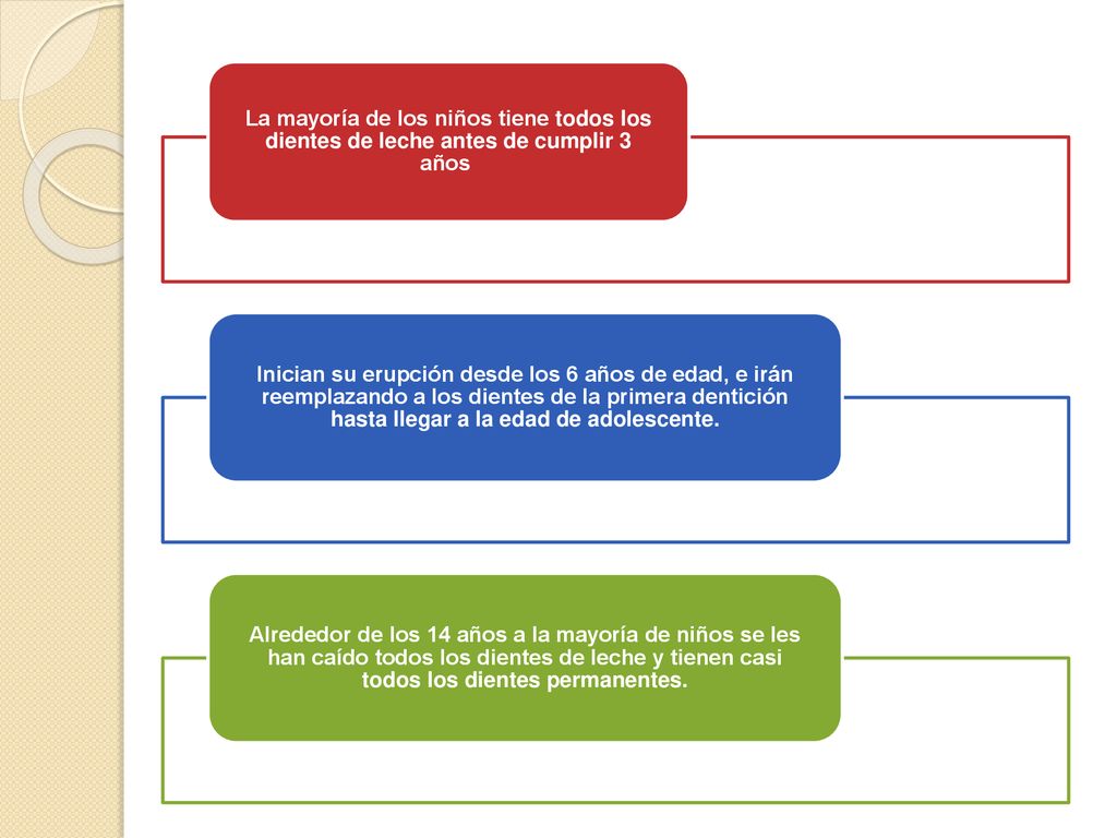 La mayoría de los niños tiene todos los dientes de leche antes de cumplir 3 años