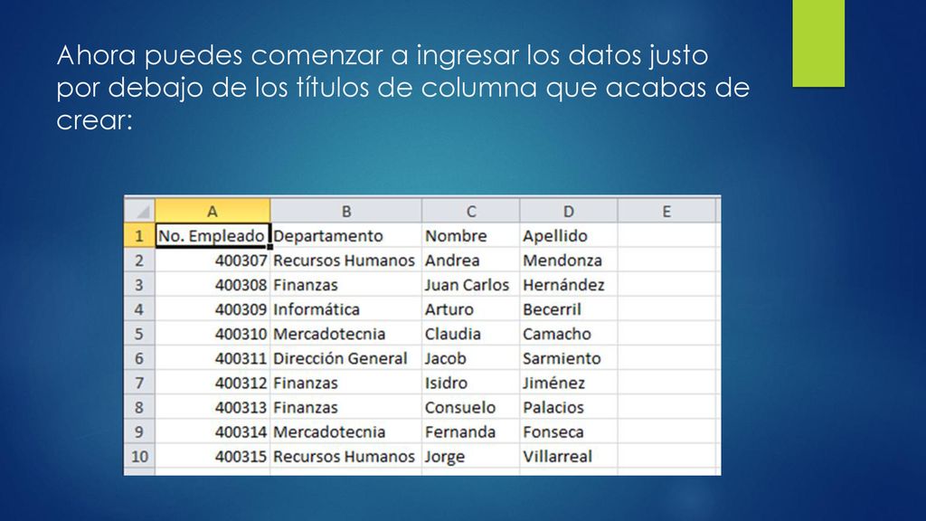 Ahora puedes comenzar a ingresar los datos justo por debajo de los títulos de columna que acabas de crear: