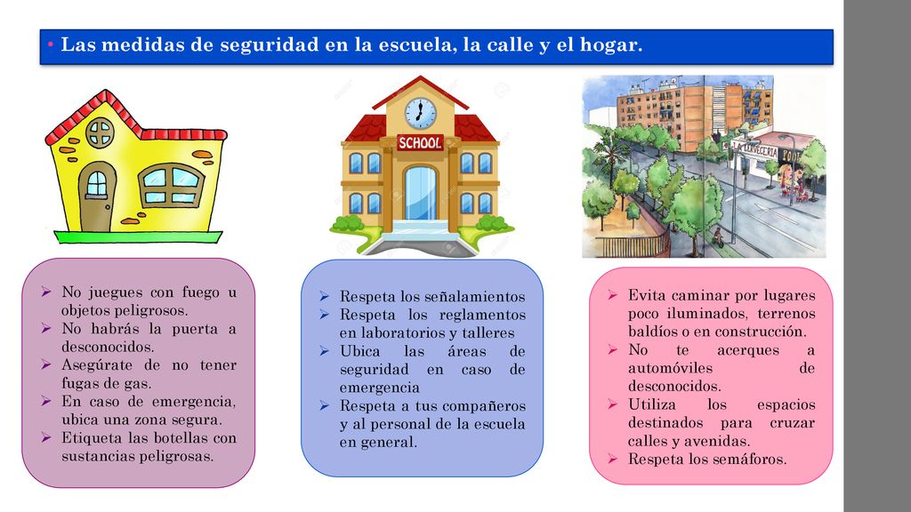Las medidas de seguridad en la escuela, la calle y el hogar.