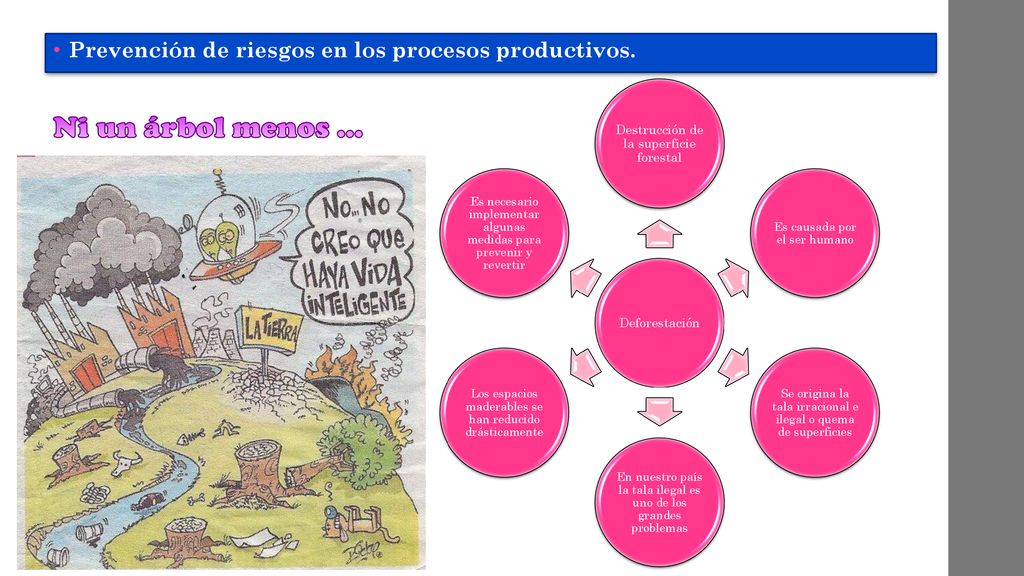 Ni un árbol menos … Prevención de riesgos en los procesos productivos.