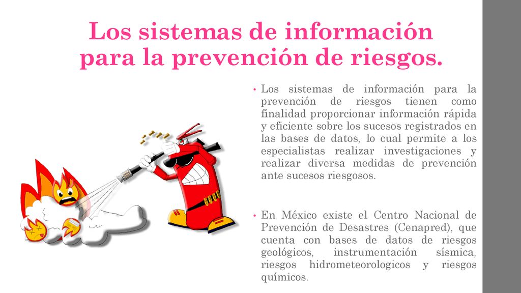 Los sistemas de información para la prevención de riesgos.