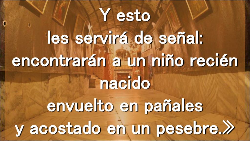 Y esto les servirá de señal: encontrarán a un niño recién nacido envuelto en pañales y acostado en un pesebre.»