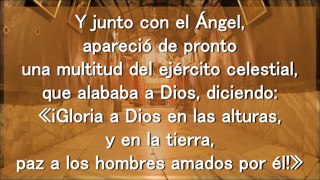 Y junto con el Ángel, apareció de pronto una multitud del ejército celestial, que alababa a Dios, diciendo: «¡Gloria a Dios en las alturas, y en la tierra, paz a los hombres amados por él!»