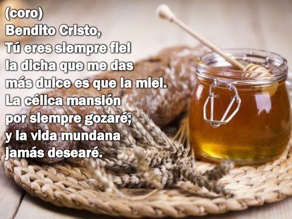 (coro) Bendito Cristo, Tú eres siempre fiel la dicha que me das más dulce es que la miel.