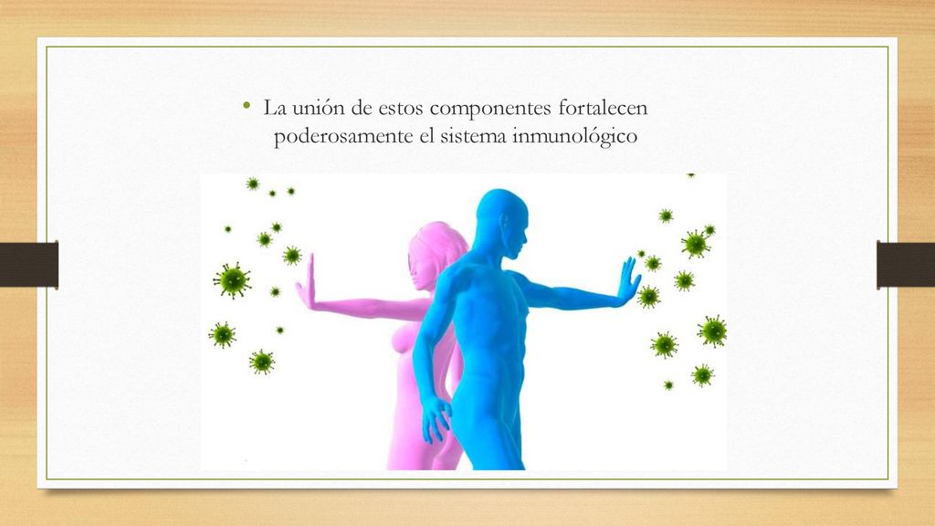 La unión de estos componentes fortalecen poderosamente el sistema inmunológico