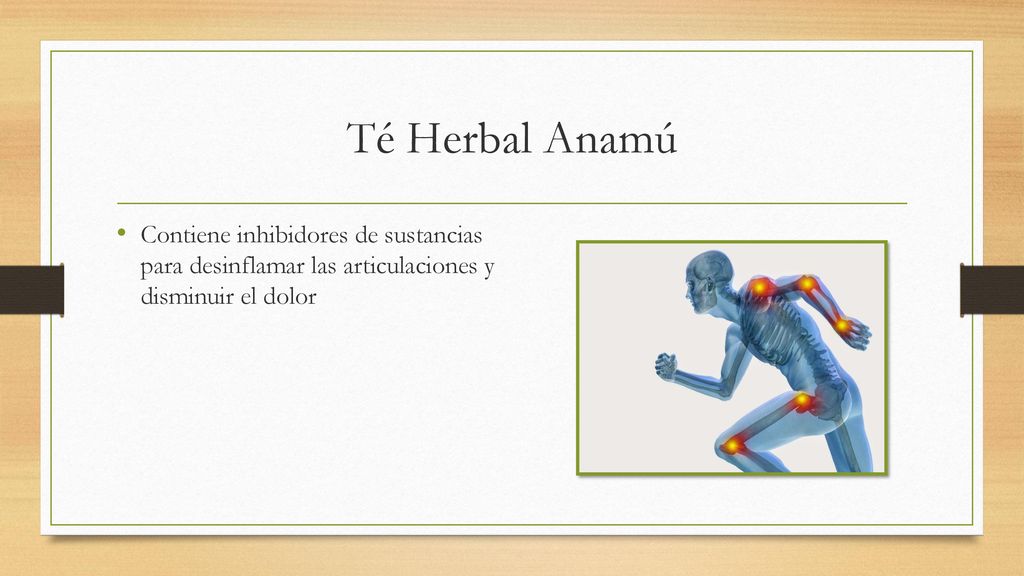 Té Herbal Anamú Contiene inhibidores de sustancias para desinflamar las articulaciones y disminuir el dolor.