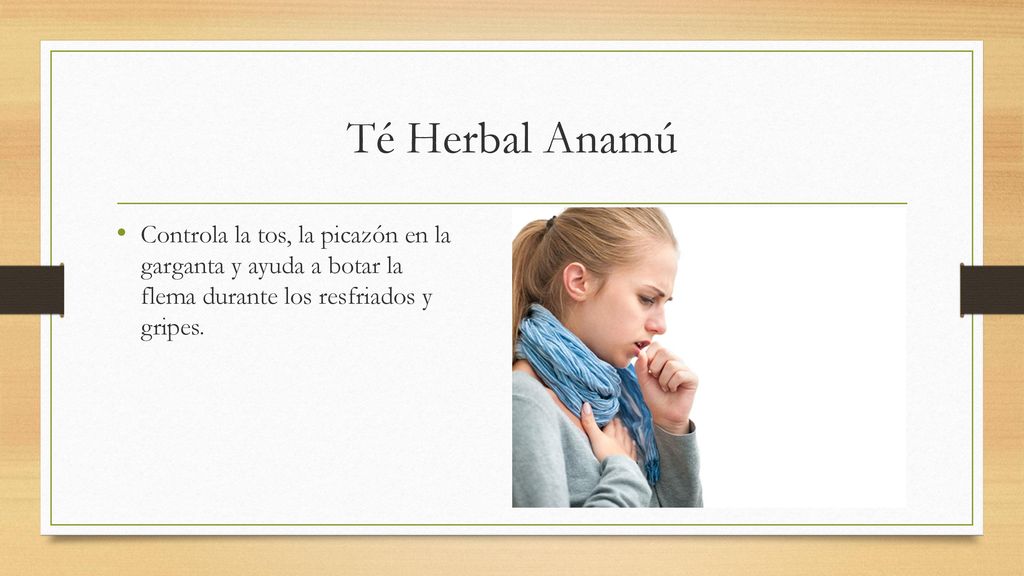 Té Herbal Anamú Controla la tos, la picazón en la garganta y ayuda a botar la flema durante los resfriados y gripes.