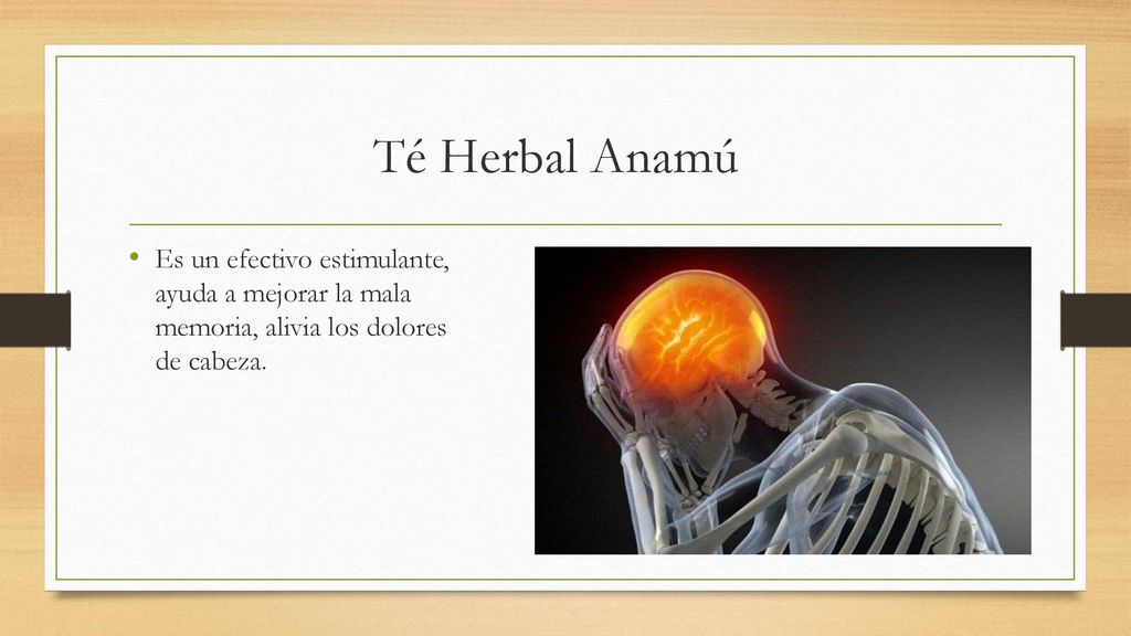Té Herbal Anamú Es un efectivo estimulante, ayuda a mejorar la mala memoria, alivia los dolores de cabeza.