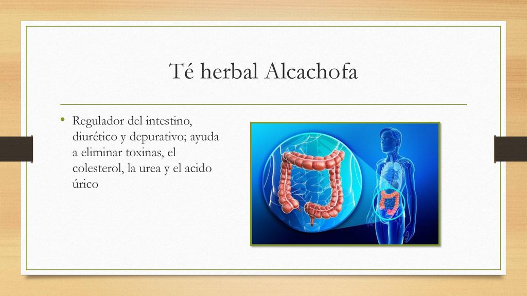 Té herbal Alcachofa Regulador del intestino, diurético y depurativo; ayuda a eliminar toxinas, el colesterol, la urea y el acido úrico.