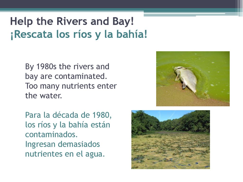 Help the Rivers and Bay! ¡Rescata los ríos y la bahía!