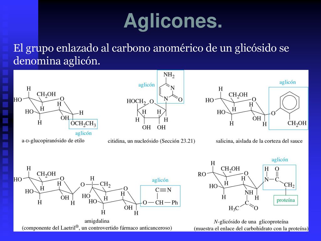 Aglicones. El grupo enlazado al carbono anomérico de un glicósido se denomina aglicón.