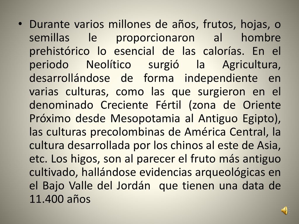 Durante varios millones de años, frutos, hojas, o semillas le proporcionaron al hombre prehistórico lo esencial de las calorías.