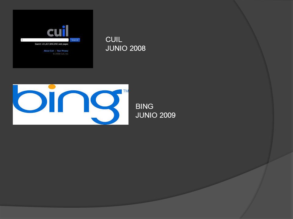 CUIL JUNIO 2008 BING JUNIO 2009