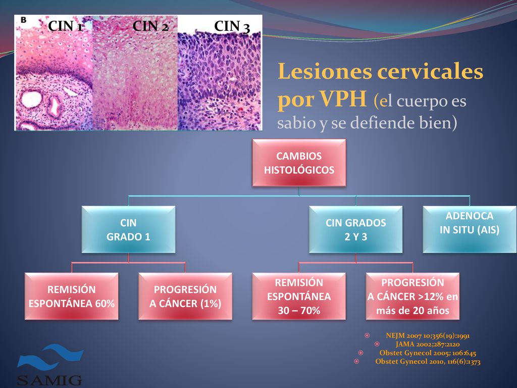 Lesiones cervicales por VPH (el cuerpo es sabio y se defiende bien)