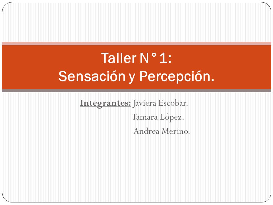 Taller N°1: Sensación y Percepción.
