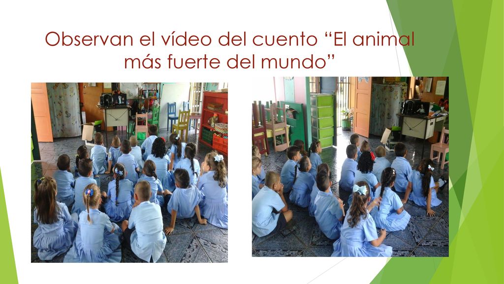 Observan el vídeo del cuento El animal más fuerte del mundo