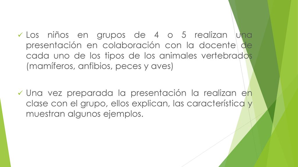 Los niños en grupos de 4 o 5 realizan una presentación en colaboración con la docente de cada uno de los tipos de los animales vertebrados (mamíferos, anfibios, peces y aves)