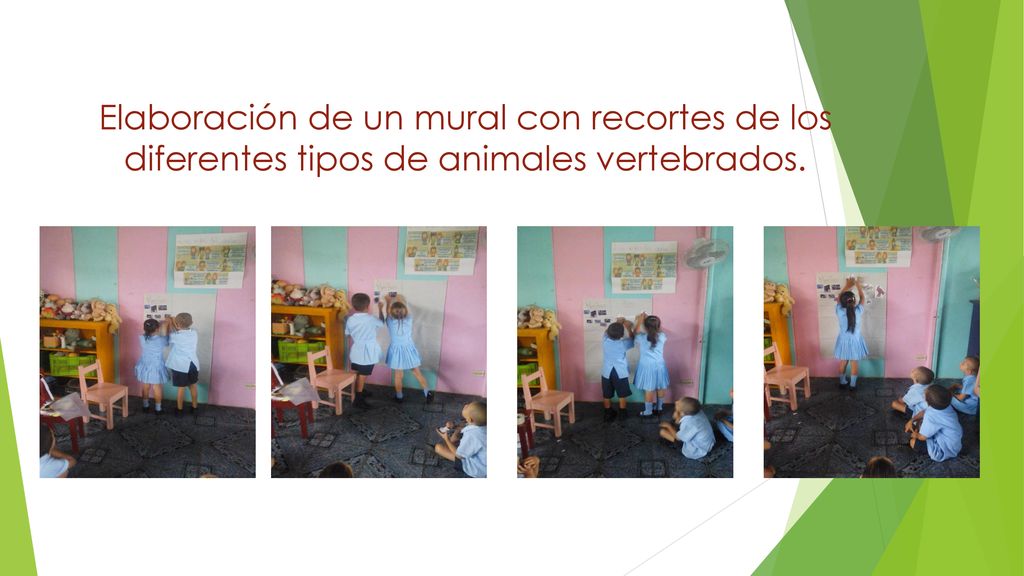 Elaboración de un mural con recortes de los diferentes tipos de animales vertebrados.