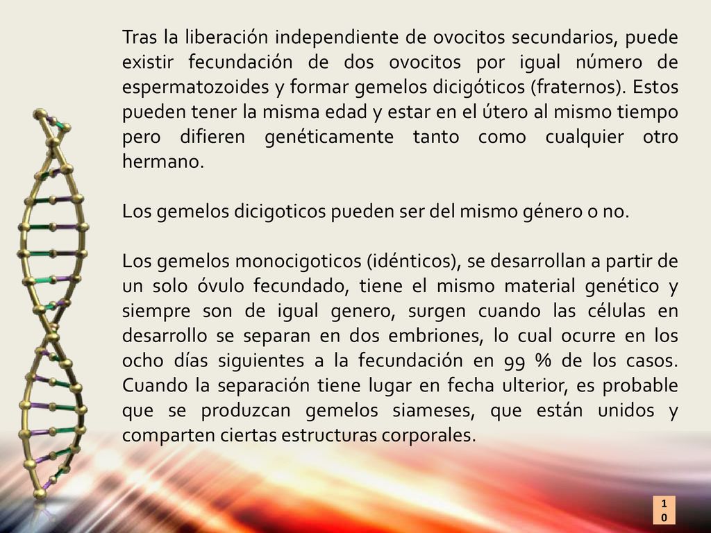 Tras la liberación independiente de ovocitos secundarios, puede existir fecundación de dos ovocitos por igual número de espermatozoides y formar gemelos dicigóticos (fraternos). Estos pueden tener la misma edad y estar en el útero al mismo tiempo pero difieren genéticamente tanto como cualquier otro hermano.